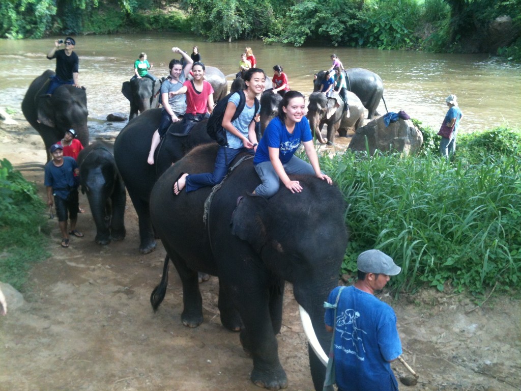 At the River with Elephants