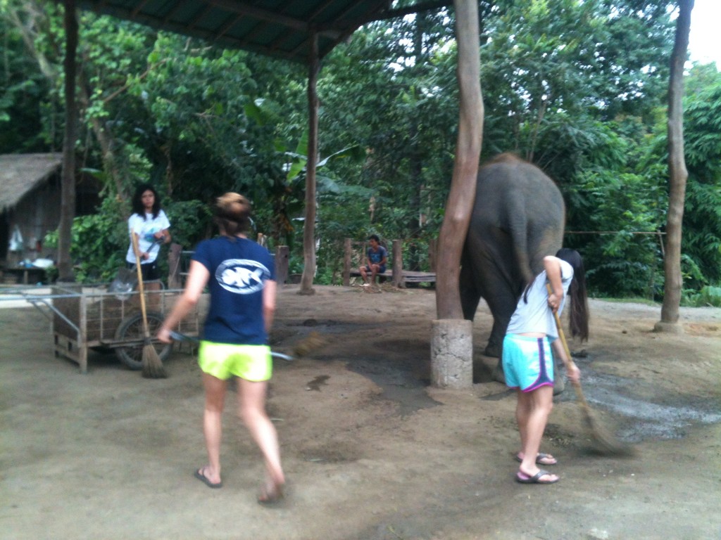 Cleaning the Elephant Home