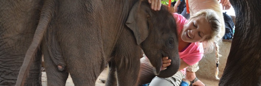 Thailand-Elephants-GLA-Time-Capsule